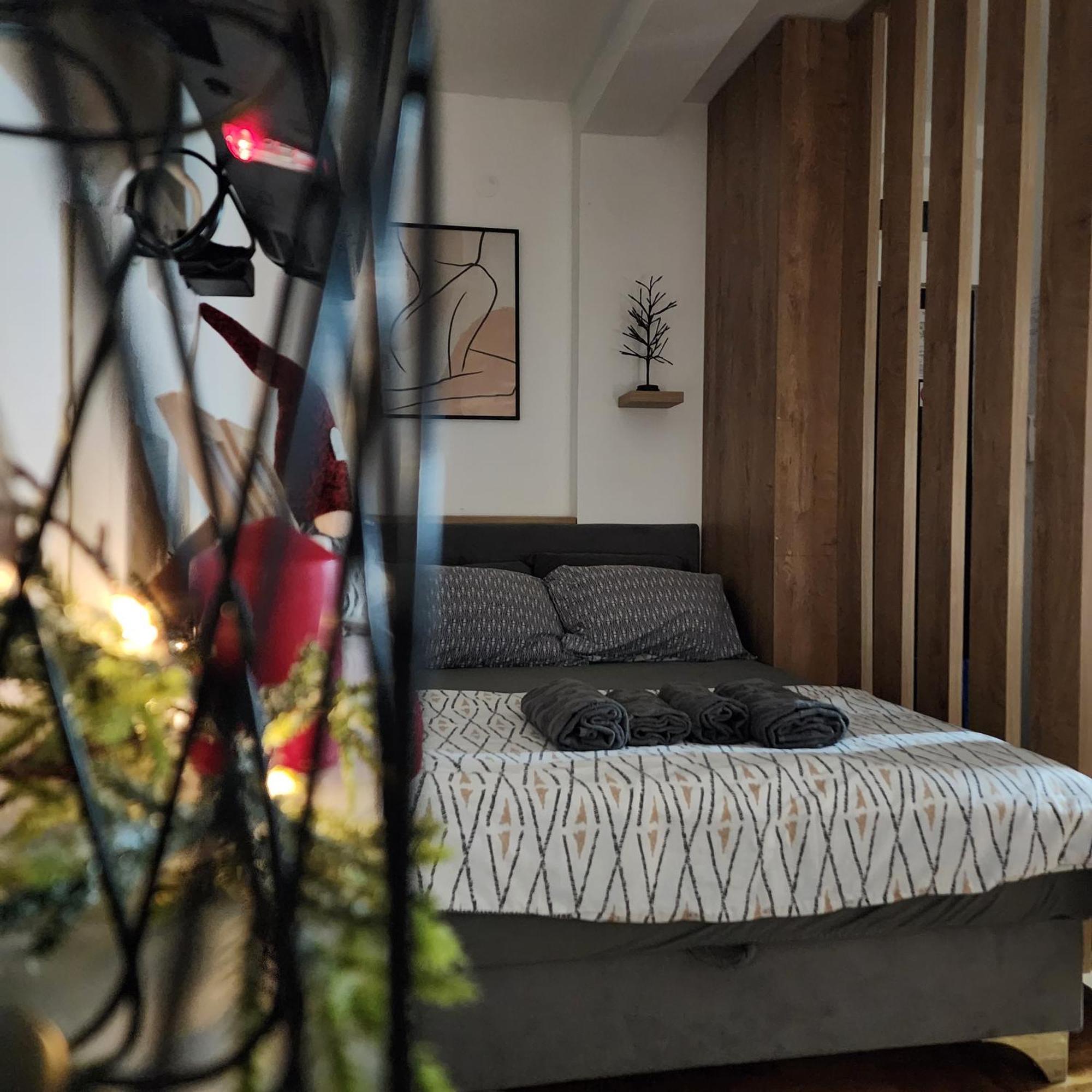 Soul Stan Na Dan Apartman Újvidék Kültér fotó
